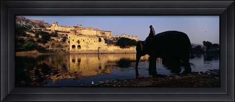 Framed Side profile of a man sitting on an elephant, Amber Fort, Jaipur, Rajasthan, India Print