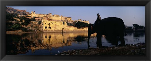 Framed Side profile of a man sitting on an elephant, Amber Fort, Jaipur, Rajasthan, India Print