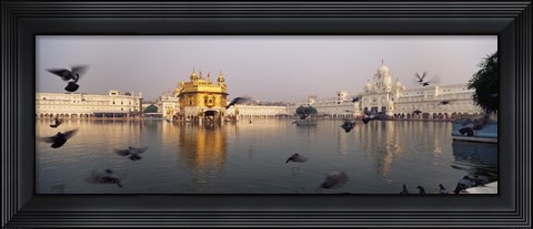 Framed Reflection of a temple in a lake, Golden Temple, Amritsar, Punjab, India Print