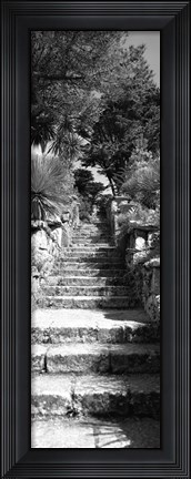 Framed Low angle view of steps in a garden, Neptune&#39;s Steps, Tresco Abbey Garden, Tresco, Isles Of Scilly, England Print