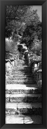 Framed Low angle view of steps in a garden, Neptune&#39;s Steps, Tresco Abbey Garden, Tresco, Isles Of Scilly, England Print