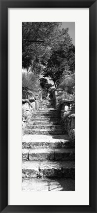 Framed Low angle view of steps in a garden, Neptune&#39;s Steps, Tresco Abbey Garden, Tresco, Isles Of Scilly, England Print