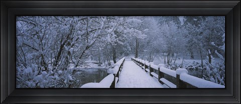 Framed Trees along a snow covered footbridge, Yosemite National Park, California, USA Print