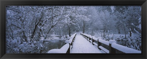 Framed Trees along a snow covered footbridge, Yosemite National Park, California, USA Print