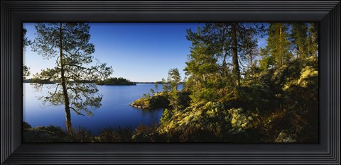 Framed Trees at the lakeside, Lake Saimaa, Puumala, Finland Print