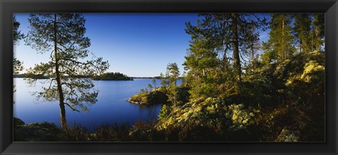 Framed Trees at the lakeside, Lake Saimaa, Puumala, Finland Print