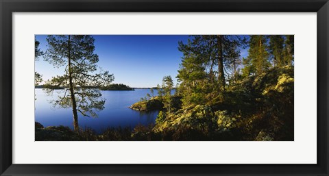 Framed Trees at the lakeside, Lake Saimaa, Puumala, Finland Print