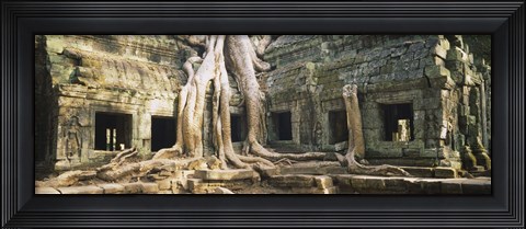 Framed Close up of Old ruins of a building, Angkor Wat, Cambodia Print