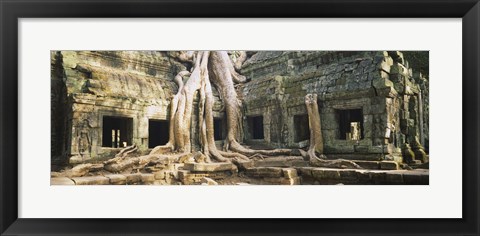 Framed Close up of Old ruins of a building, Angkor Wat, Cambodia Print