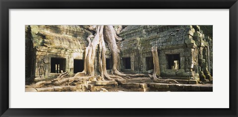 Framed Close up of Old ruins of a building, Angkor Wat, Cambodia Print