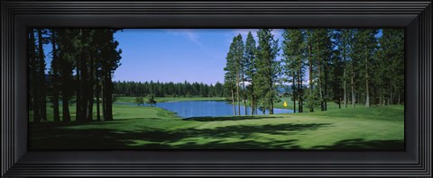 Framed Trees on a golf course, Edgewood Tahoe Golf Course, Stateline, Nevada, USA Print