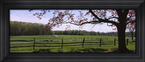 Framed Wooden fence in a farm, Knox Farm State Park, East Aurora, New York State, USA Print
