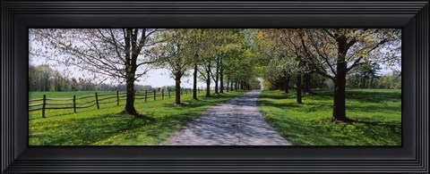 Framed Road passing through a farm, Knox Farm State Park, East Aurora, New York State, USA Print