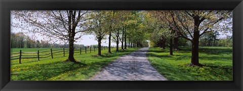 Framed Road passing through a farm, Knox Farm State Park, East Aurora, New York State, USA Print