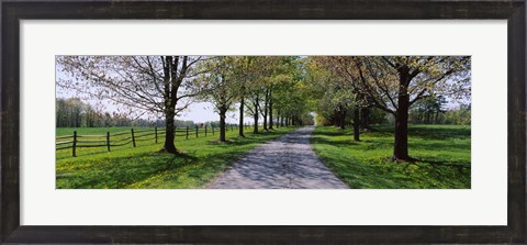 Framed Road passing through a farm, Knox Farm State Park, East Aurora, New York State, USA Print