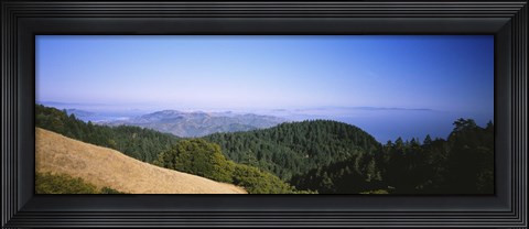 Framed High angle view of a forest, Mt Tamalpais, California, USA Print