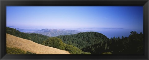 Framed High angle view of a forest, Mt Tamalpais, California, USA Print