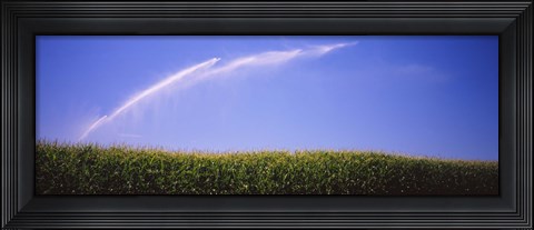 Framed Water being sprayed on a corn field, Washington State, USA Print