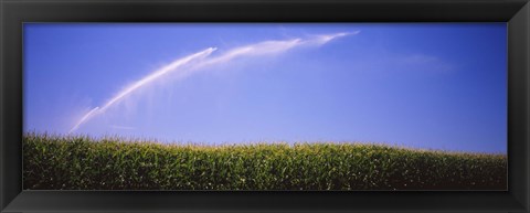 Framed Water being sprayed on a corn field, Washington State, USA Print