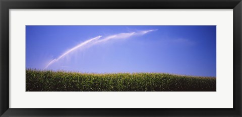 Framed Water being sprayed on a corn field, Washington State, USA Print