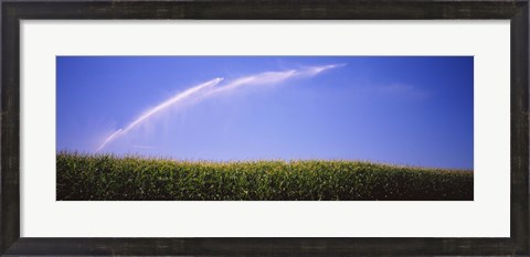 Framed Water being sprayed on a corn field, Washington State, USA Print