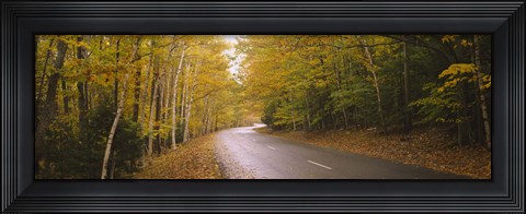 Framed Road passing through a forest, Park Loop Road, Acadia National Park, Mount Desert Island, Maine, USA Print