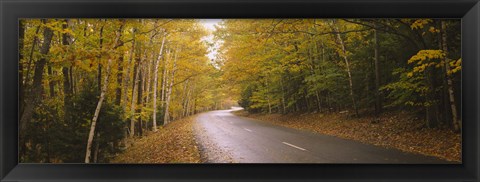 Framed Road passing through a forest, Park Loop Road, Acadia National Park, Mount Desert Island, Maine, USA Print