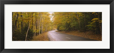 Framed Road passing through a forest, Park Loop Road, Acadia National Park, Mount Desert Island, Maine, USA Print