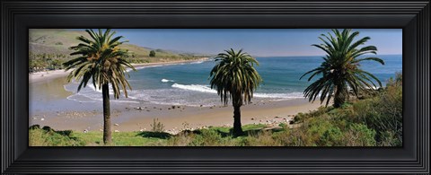 Framed High angle view of palm trees on the beach, Refugio State Beach, Santa Barbara, California, USA Print