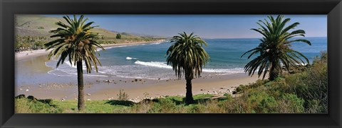 Framed High angle view of palm trees on the beach, Refugio State Beach, Santa Barbara, California, USA Print