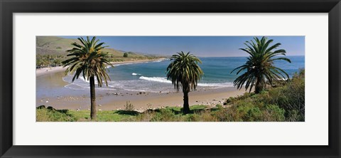 Framed High angle view of palm trees on the beach, Refugio State Beach, Santa Barbara, California, USA Print