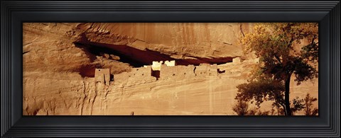 Framed Tree in front of the ruins of cliff dwellings, White House Ruins, Canyon de Chelly National Monument, Arizona, USA Print
