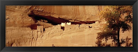 Framed Tree in front of the ruins of cliff dwellings, White House Ruins, Canyon de Chelly National Monument, Arizona, USA Print