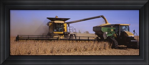 Framed Combine harvesting soybeans in a field, Minnesota Print