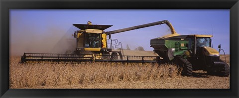 Framed Combine harvesting soybeans in a field, Minnesota Print