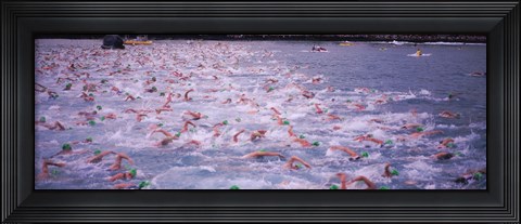 Framed Triathlon athletes swimming in water in a race, Ironman, Kailua Kona, Hawaii, USA Print