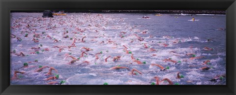 Framed Triathlon athletes swimming in water in a race, Ironman, Kailua Kona, Hawaii, USA Print