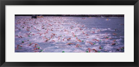 Framed Triathlon athletes swimming in water in a race, Ironman, Kailua Kona, Hawaii, USA Print