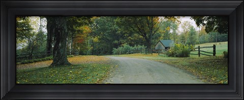 Framed Trees at a Roadside, Vermont Print