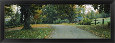 Framed Trees at a Roadside, Vermont Print