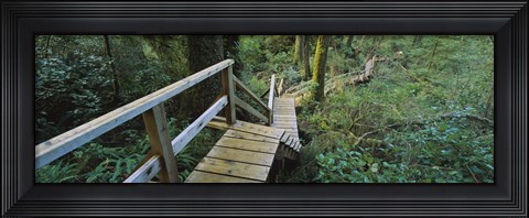 Framed Wooden Path in Pacific Rim National Park Print