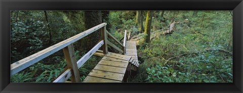 Framed Wooden Path in Pacific Rim National Park Print
