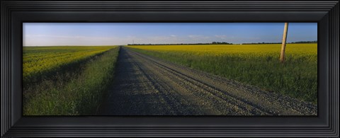 Framed Country Road in Millet, Canada Print