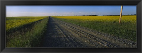 Framed Country Road in Millet, Canada Print