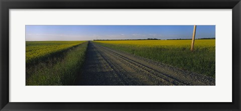 Framed Country Road in Millet, Canada Print