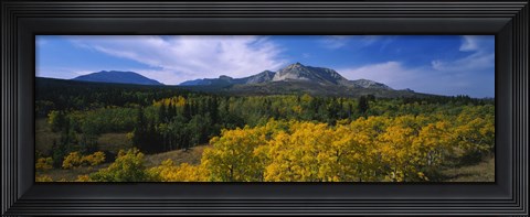 Framed Valley of Trees in Wateron Lakes Print