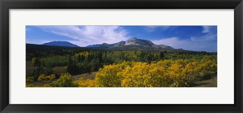 Framed Valley of Trees in Wateron Lakes Print