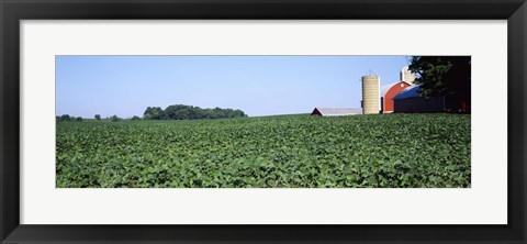Framed Soybean Field and Barn in Kent County Print