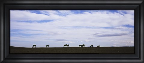 Framed Horses in Field Print