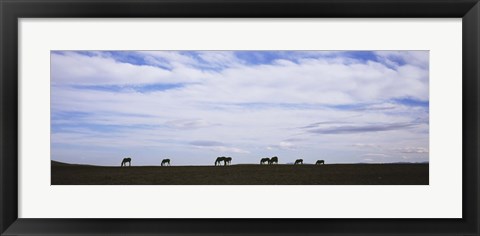 Framed Horses in Field Print